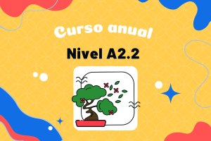 4º año